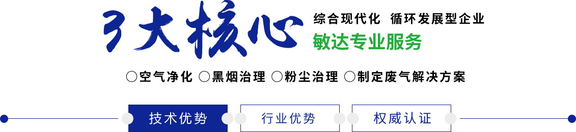 内射日韩毛茸茸敏达环保科技（嘉兴）有限公司